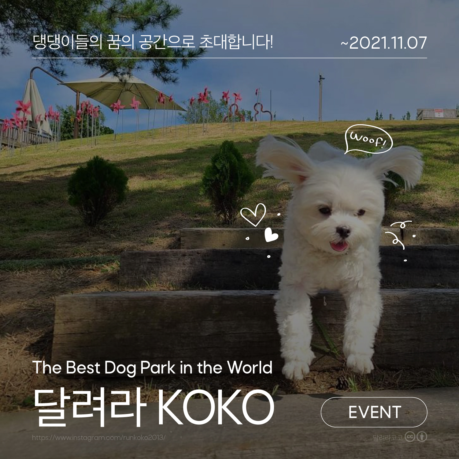 댕댕이들의 꿈의 공간, 달려라 KOKO!